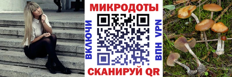OMG зеркало  Зуевка  Псилоцибиновые грибы Psilocybe 